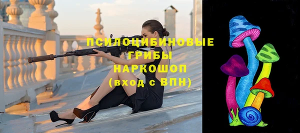 тгк Богданович