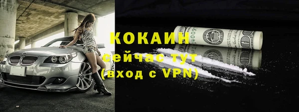тгк Богданович