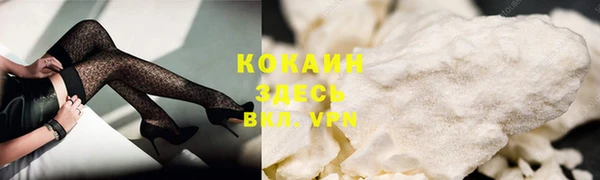 сатива Богородицк