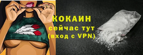 сатива Богородицк